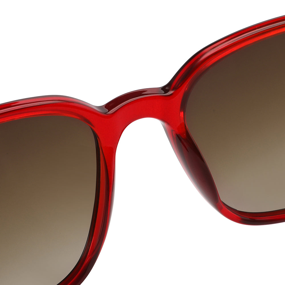 Gafas de sol de acetato Sexton TK00139 - C3 femeninas, talla 53 mm