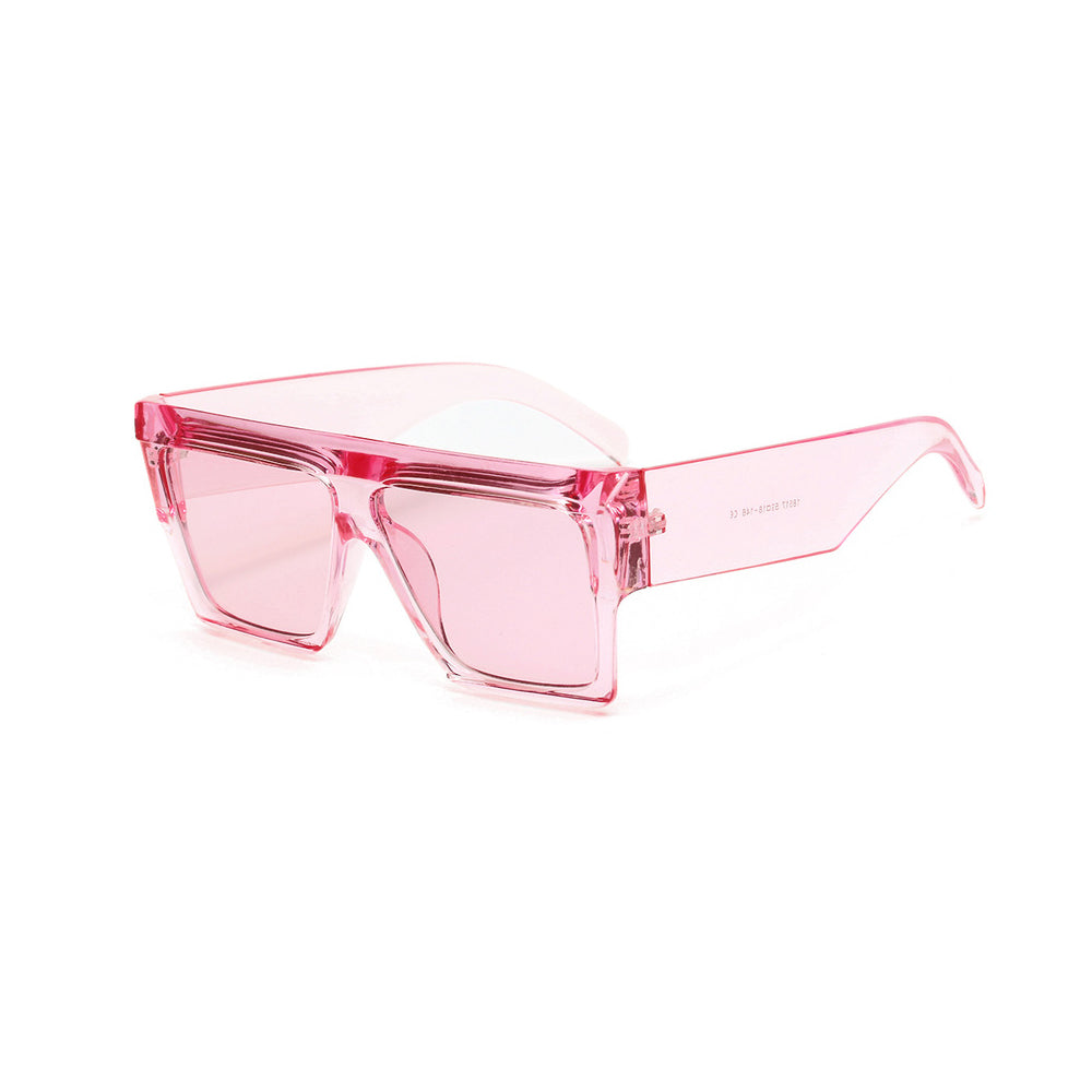 SEXTON | BIG TRANSPARENT TORTOISE