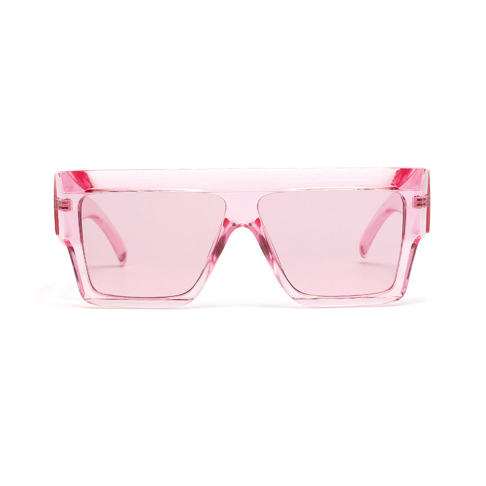 SEXTON | BIG TRANSPARENT TORTOISE